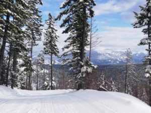 Big Mountain Nordic Trails