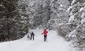 Big Mountain Nordic Trails