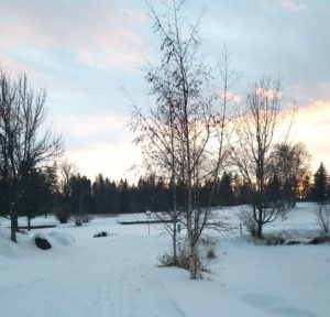 Meadow Lake Golf Course