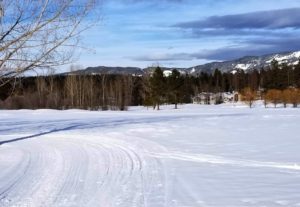 Meadow Lake Golf Course (2)