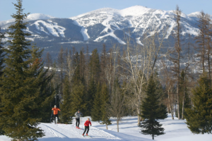 Three skiers on a snowy groomed trail with trees and snowy mountain in background.