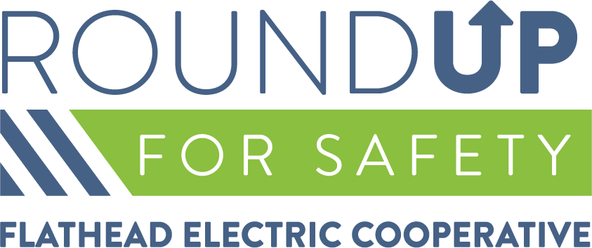 WF Community FoundationGNC_lighting-donors