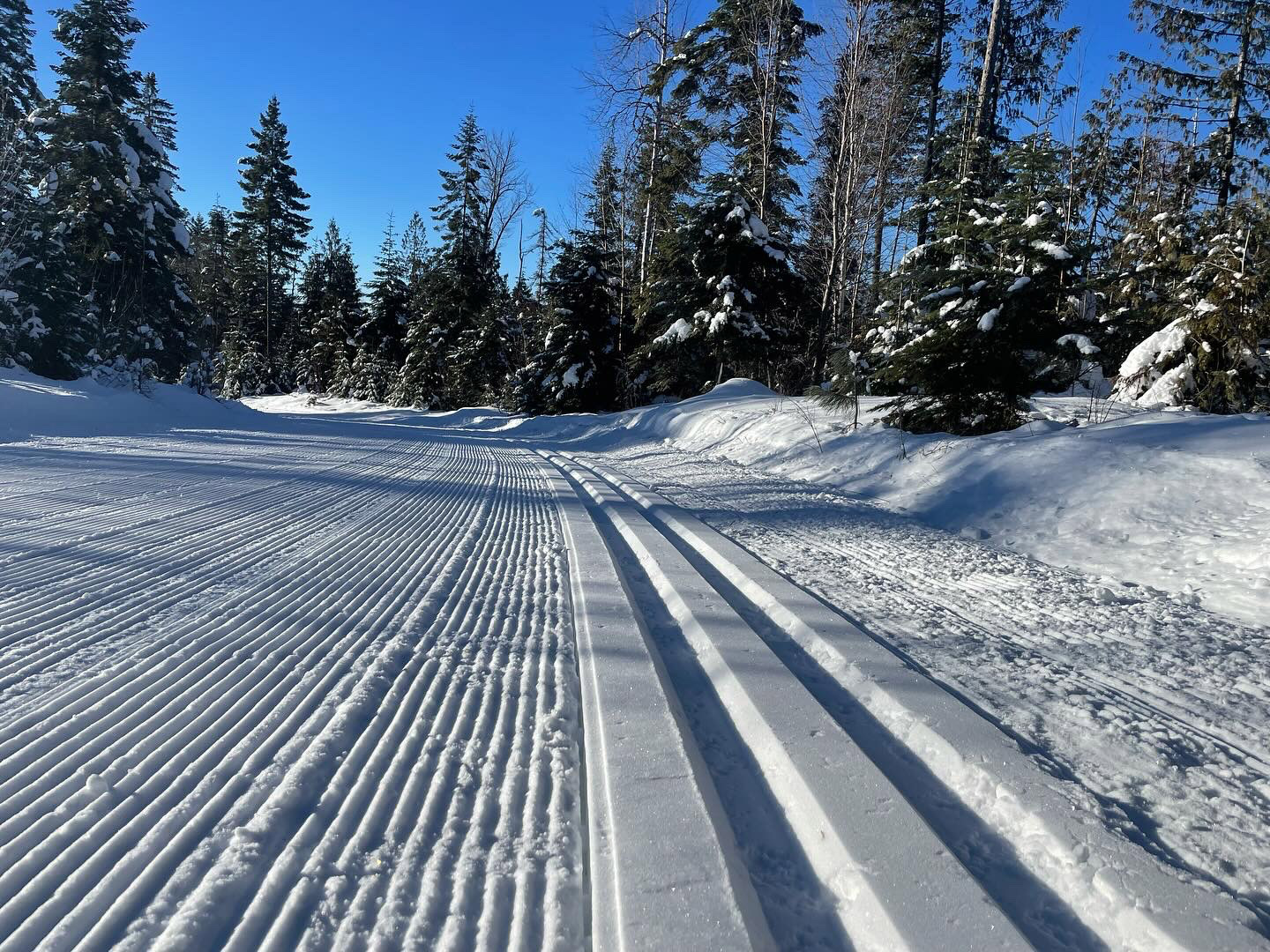 Groomed trails by Glacier Nordic Club